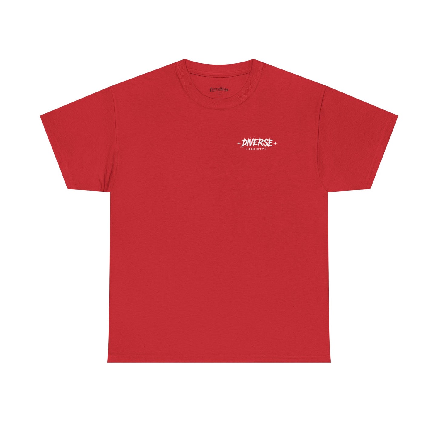 Diverse Society Graphic Tee — Globe Logo Chest + Back Print