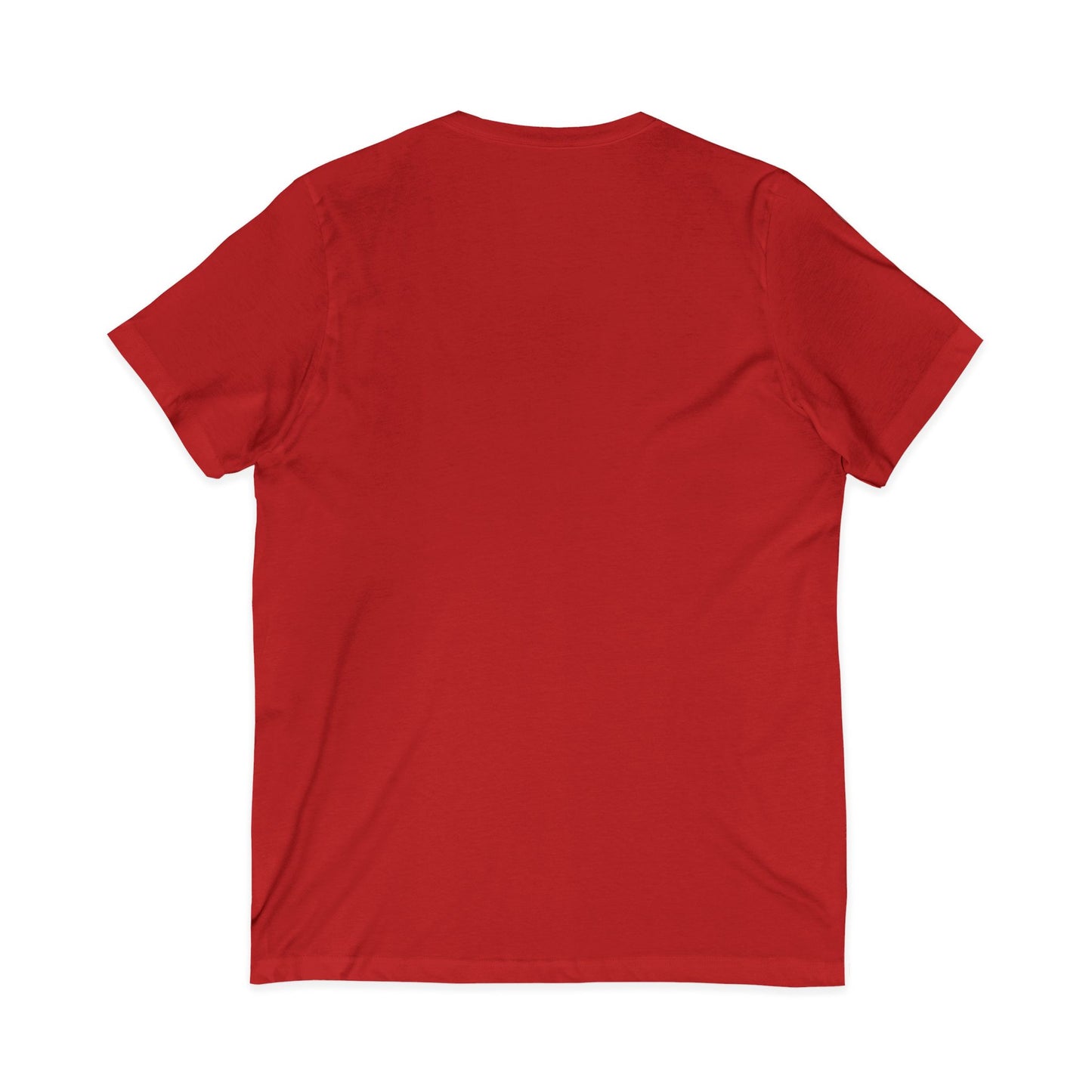 Diverse Society V-Neck Tee — Built Different Graphic T-Shirt