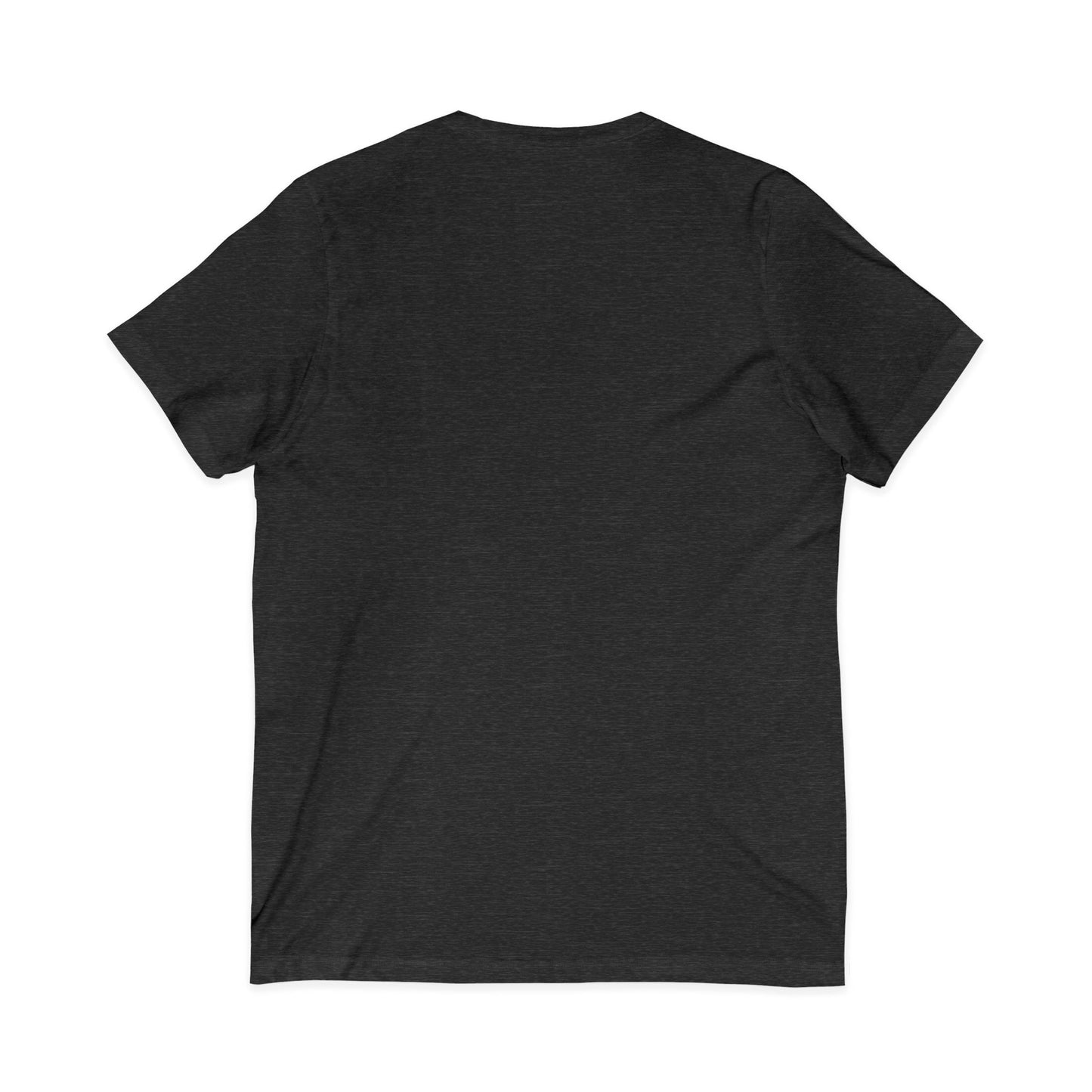 Diverse Society V-Neck Tee — Built Different Graphic T-Shirt